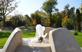 Sensory Garden