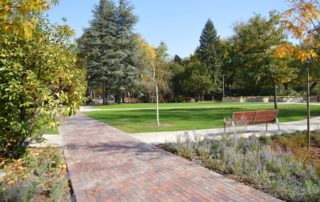 Sensory Garden