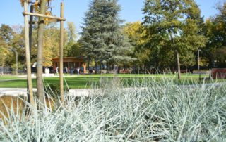 Sensory Garden