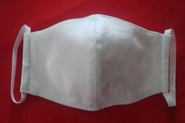 20200329 132652 resized365x242