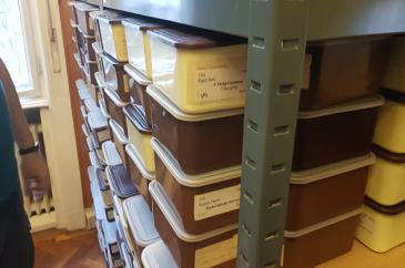 Salgopolcon hangoskazettás dobozok365x242