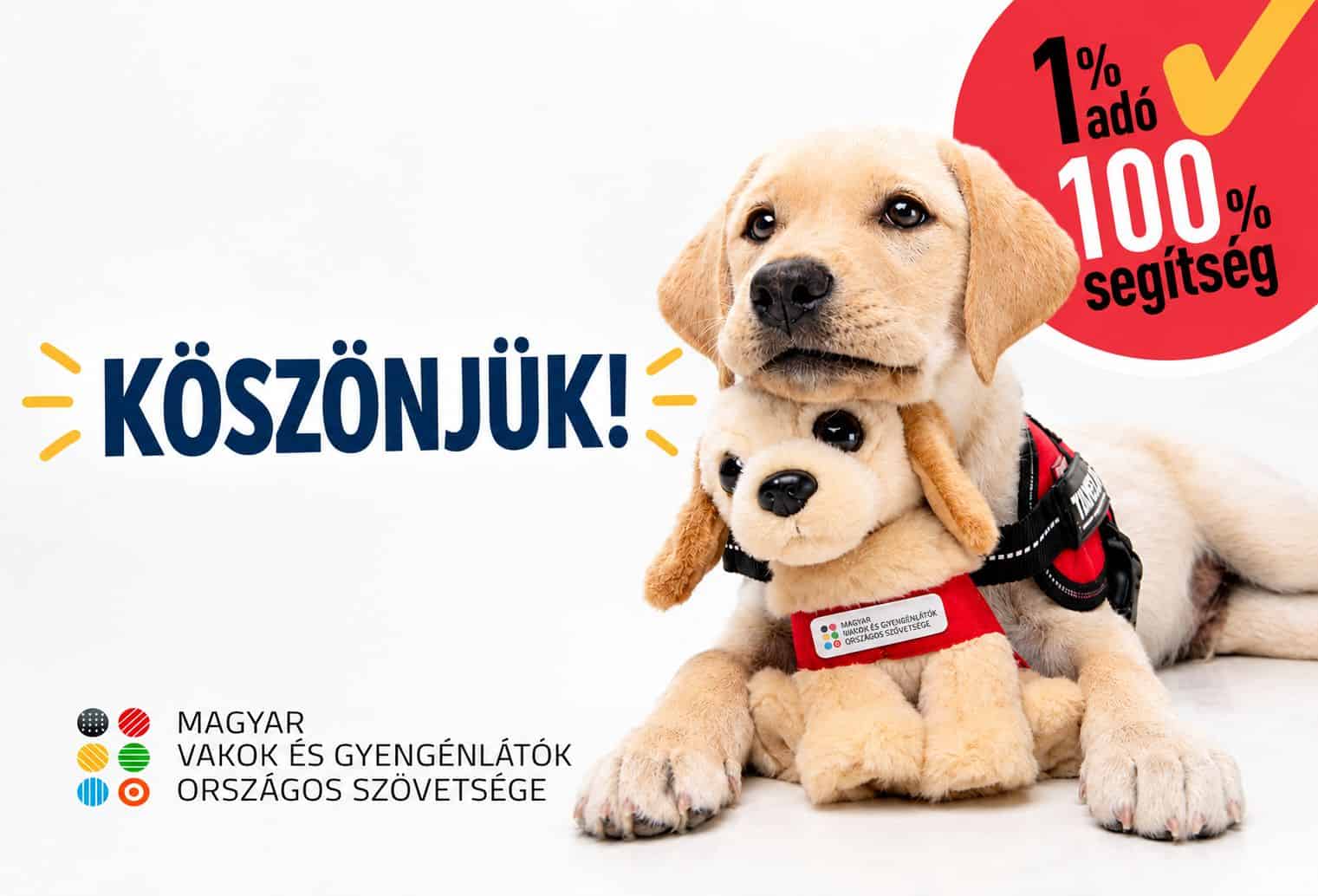 Köszönjük 1% flyer 365x242
